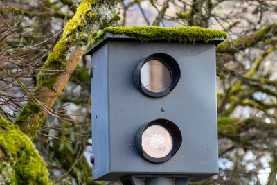 Close-up of old speed measuring device with moss on the roof in monschau