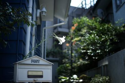 View of mailbox with flower