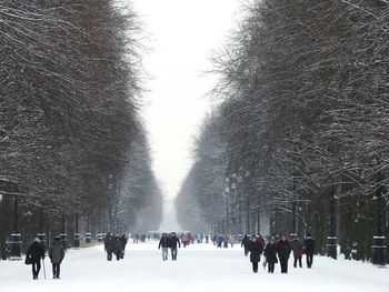 People walking on snow covered landscape