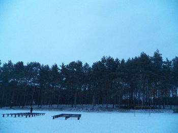 Trees on snow covered landscape against clear sky