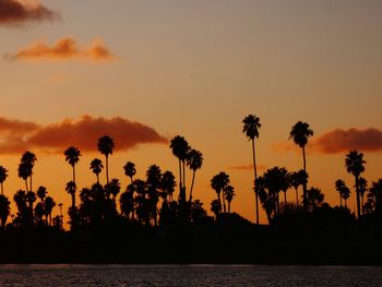 Silhouette palm trees against sky during sunset