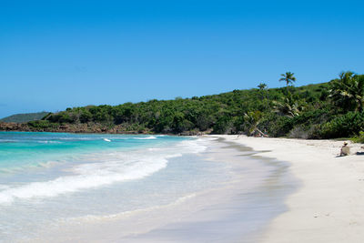 View of beach against blue sky