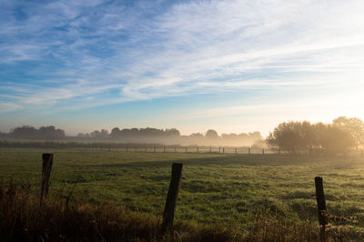 Scenic view of grassy field against sky