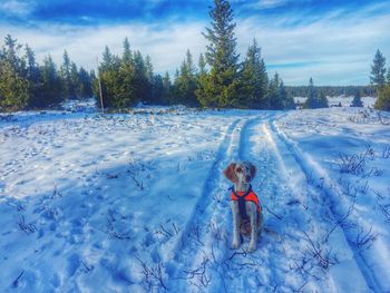 Portrait of girl in snow against sky