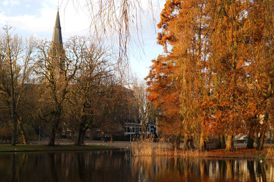 Trees by lake against sky during autumn