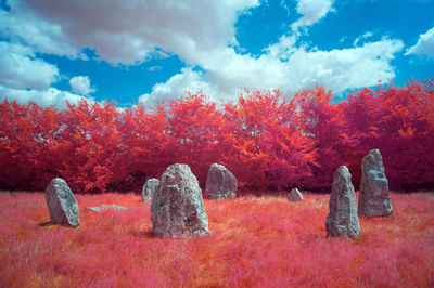 View of red rocks and trees in the background