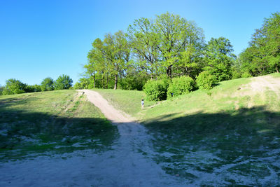 Scenic view of trees against clear blue sky