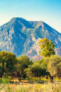 Scenic view of mountains against clear sky