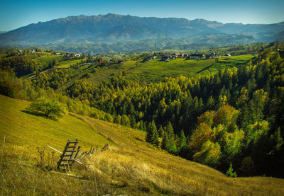 Scenic view of agricultural field