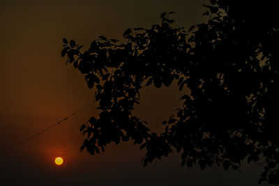 Low angle view of silhouette tree against sky at sunset