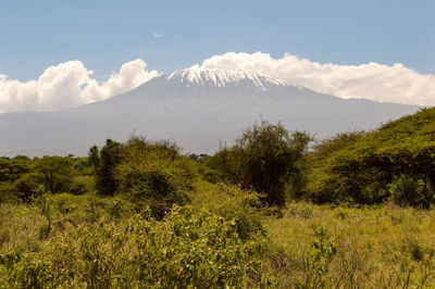 Scenic view of landscape against sky