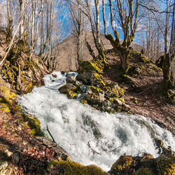 Stream flowing through rocks in forest