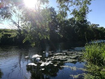 Scenic view of lake in forest against sky