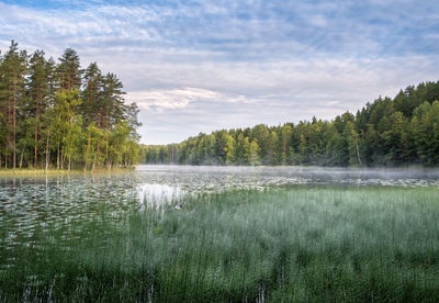 Scenic view of lake against cloudy sky