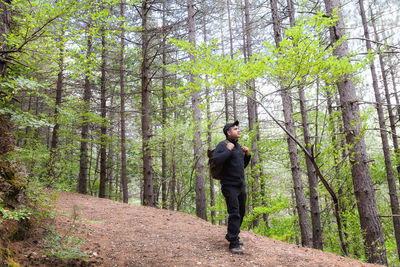 Man walking on footpath amidst trees in forest