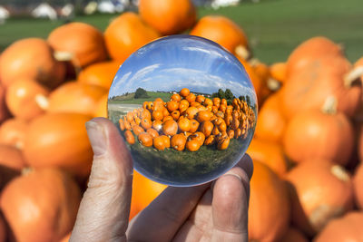 Close-up of hand holding pumpkin