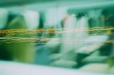 Close-up of spider on web