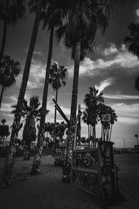 Palm trees on beach against sky