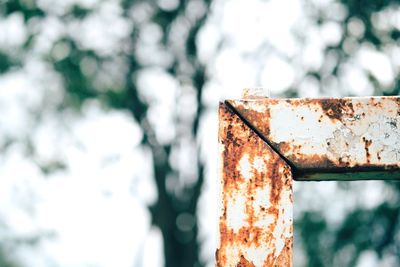 Close-up of rusty metal against wall