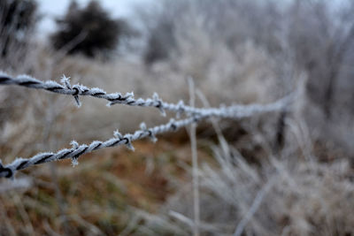 Close-up of barbed wire fence during winter