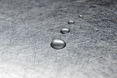 Close-up of seashell on table