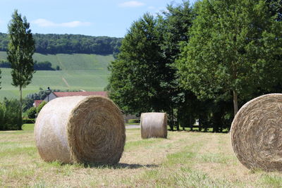 Hay bales on field against trees