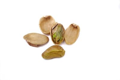 High angle view of fruits against white background