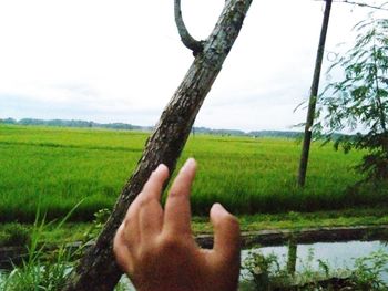 Cropped image of person on tree trunk against sky