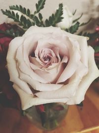 Close-up of rose bouquet