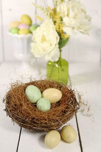 Close-up of eggs in nest