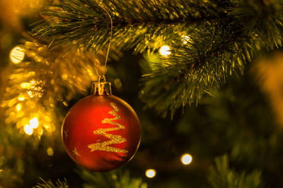 Close-up of illuminated christmas tree