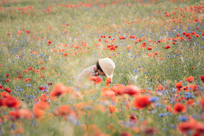 Close-up of flowers on field