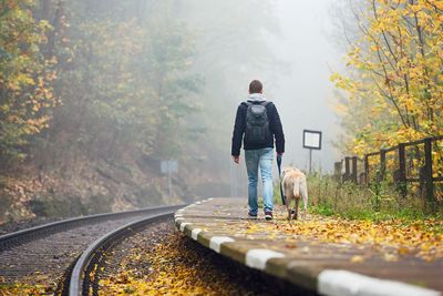 Rear view of man walking by dog during autumn