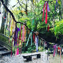 Clothes drying on clothesline