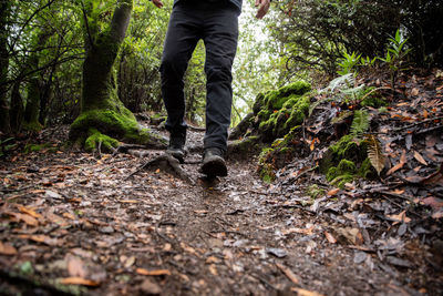 Low section of man standing in forest