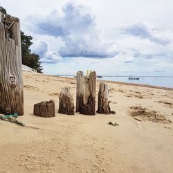 Wooden posts on beach against sky
