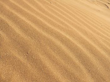 Full frame shot of sand dune