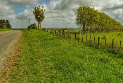 Scenic view of grassy field against cloudy sky