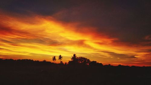 Silhouette trees on field against dramatic sky during sunset