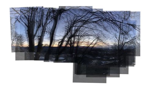 Digital composite image of bare trees and building against clear sky