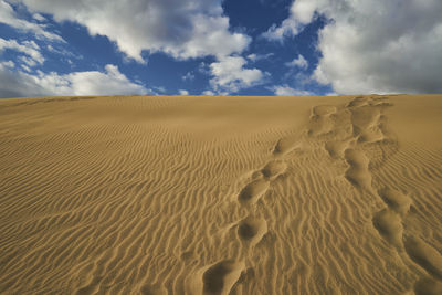 Scenic view of desert against sky