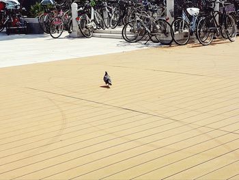 High angle view of road