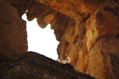 Low angle view of rock formation in cave