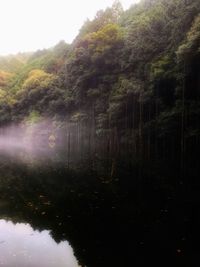 Reflection of trees in lake against sky in forest