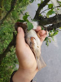 Midsection of human hand holding leaf