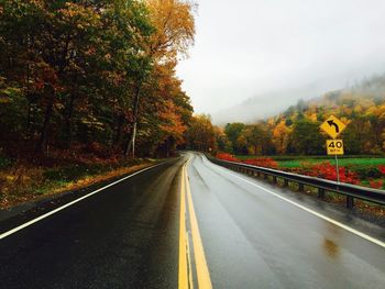 Empty road along trees