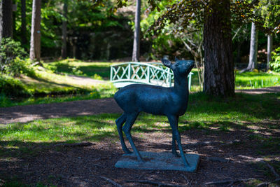 Side view of a horse in a park