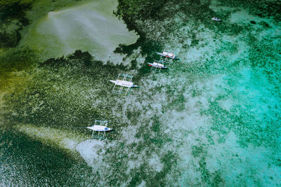 High angle view of plants by sea