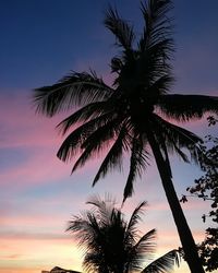 Low angle view of palm tree against romantic sky