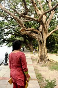 Rear view of a woman walking on tree